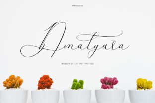 Amalyara: A Designer's Review for Real Branding Work