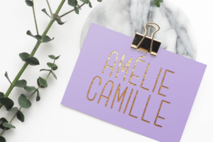Amélie Camille Font Review for Social Campaigns