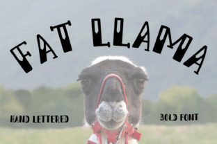 Fat Llama: The Bold Typeface That Transforms Small Brands