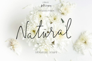 Natural Font: The Perfect Script for Handmade Brands
