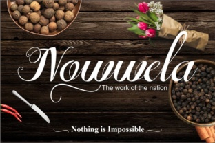 Nowwela: A Modern Script Font for Editorial Design
