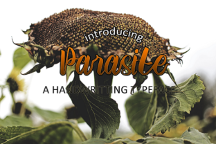 Parasite Font: A Bold Handwritten Typeface for Modern Web Design