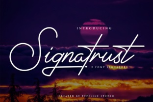 Signatrust: A Designer's Take on Modern Script Branding